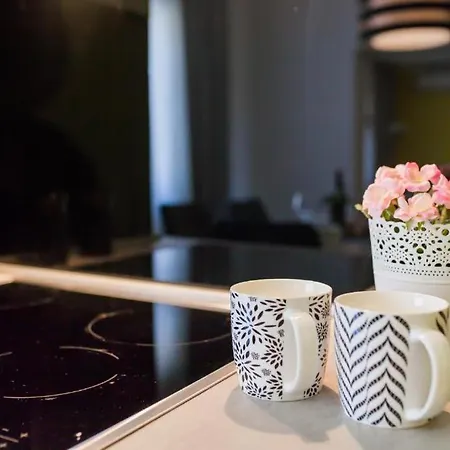 Rossa City Deluxe Apartman شيبينيك